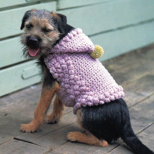 4 Cable Dog Sweater Pattern Etsy