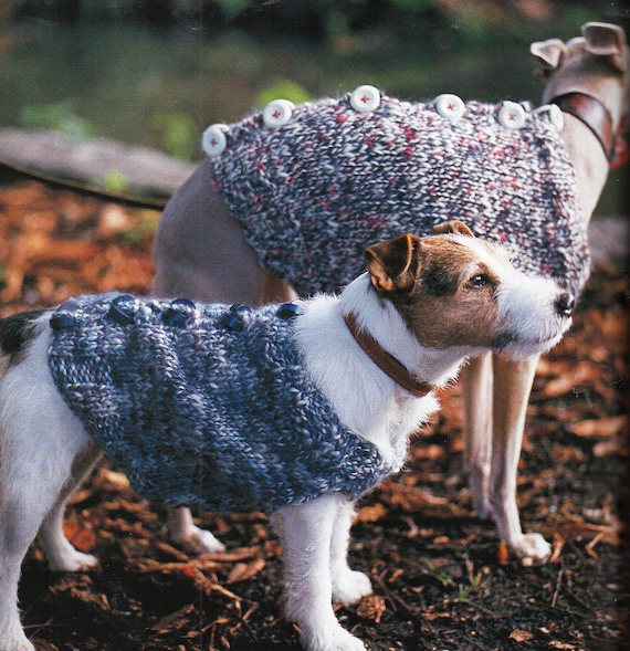 Button up Dog Sweater Coat Knitting Pattern Button Down Dog
