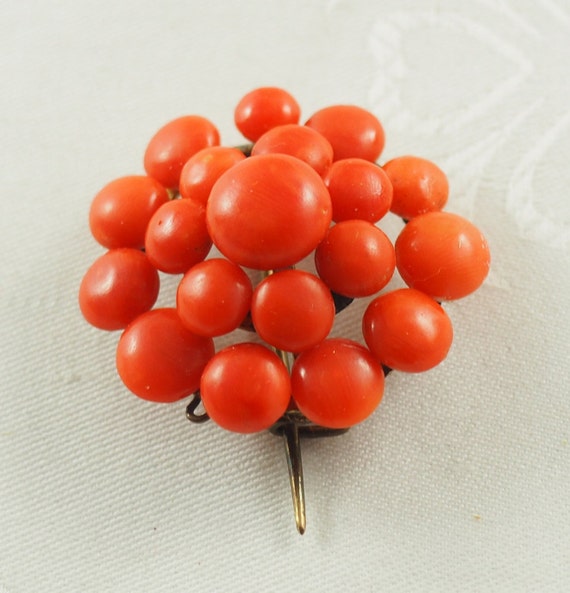 Antique Victorian Coral Cluster Brooch, Mediterra… - image 4