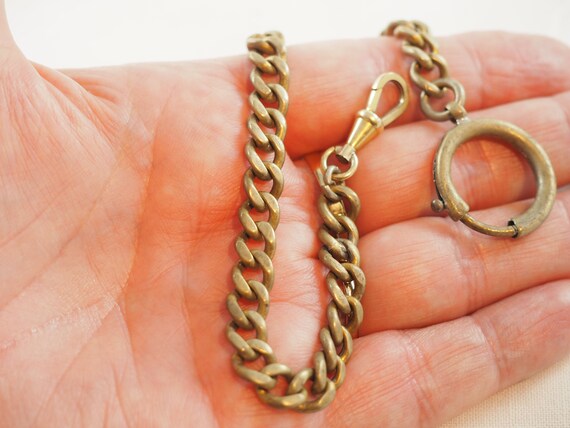 Albert chain store