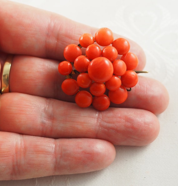 Antique Victorian Coral Cluster Brooch, Mediterra… - image 7