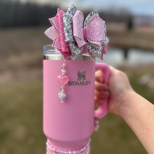 Stanley Cup Sizzling Pink - Etsy