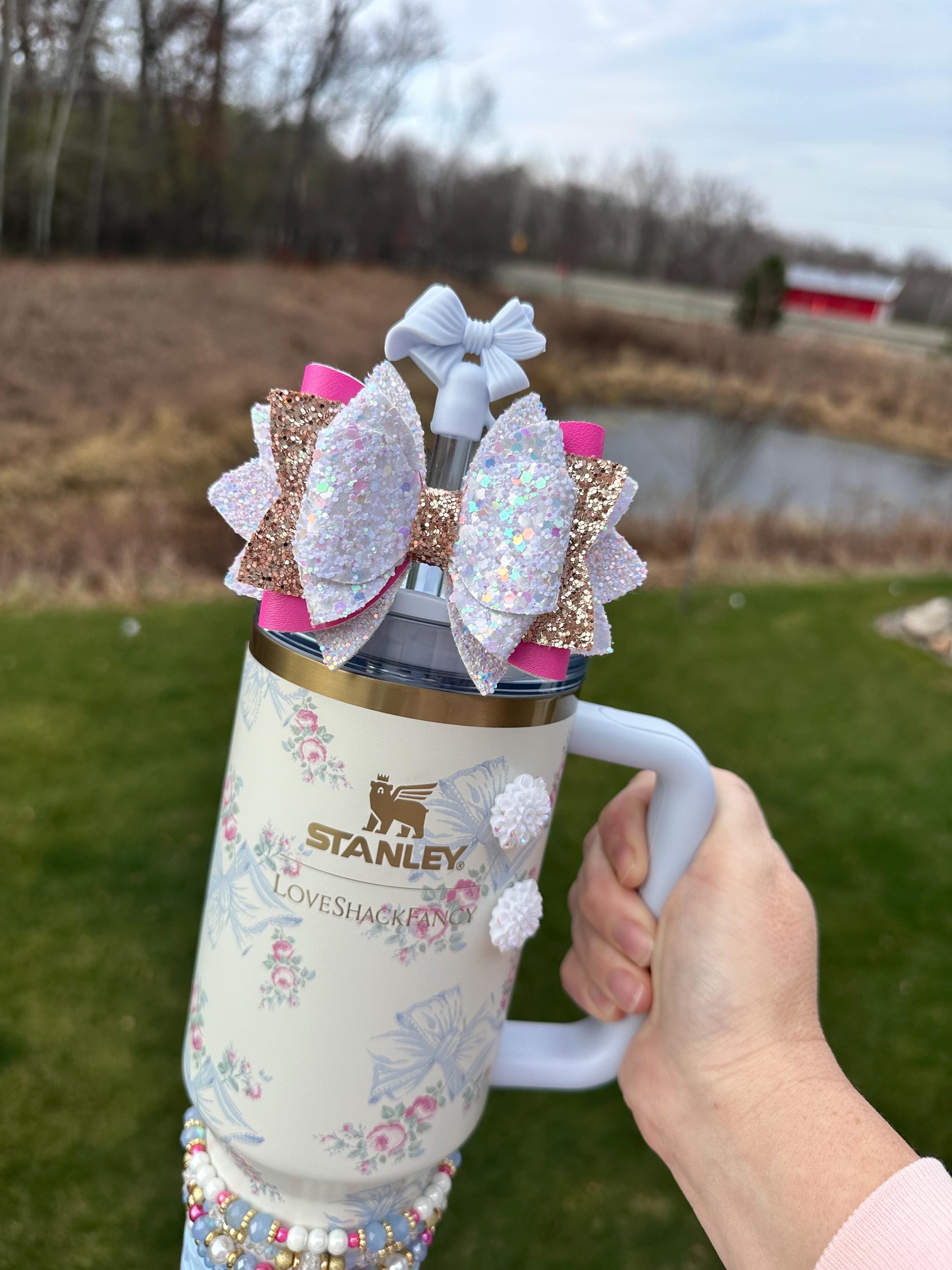 Loveshack Rosa Beaux Blue Stanley Straw Bow - Blue and Pink  display picture 3