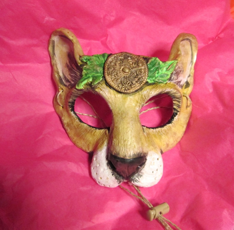 lioness official lioness official