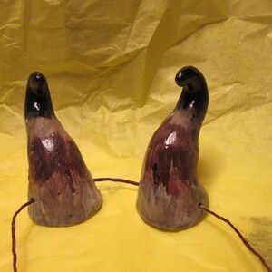 May include: Two black and purple devil horns with a brown string attached to the base of each horn.