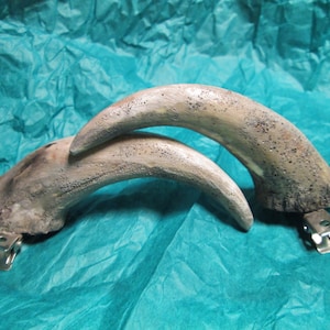 Medium size curved costume horns, Handmade lightweight resin, pan, satyr, faun, custom made, cosplay horns