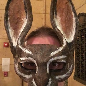 May include: A brown and white rabbit mask with long ears. The mask has a textured appearance, with white accents around the eyes and on the ears. The eyes of the person wearing the mask are visible.