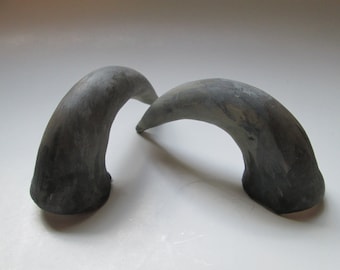 May include: Two dark gray, curved horns with a rough, textured surface.