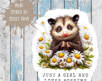 Possum Stickers funny possum stickers possum gifts opossum sticker I love my cat sticker possum decal funny opossum stickers for best friend