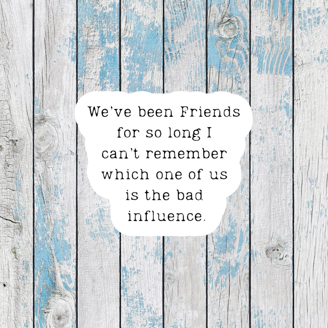 Funny Stickers for Best Friends Stickers Friendship Stickers Sarcastic