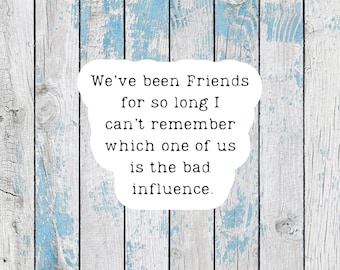 Funny Stickers for best friends stickers friendship stickers sarcastic stickers for women stickers funny decals for laptop stickers for her