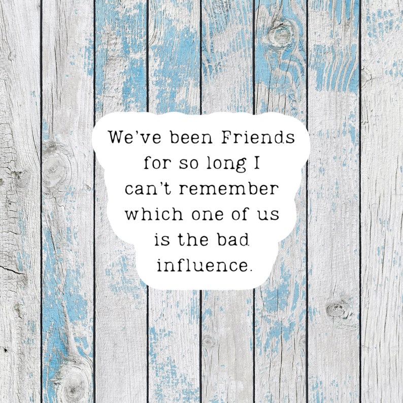 Funny Stickers for Best Friends Stickers Friendship Stickers Sarcastic