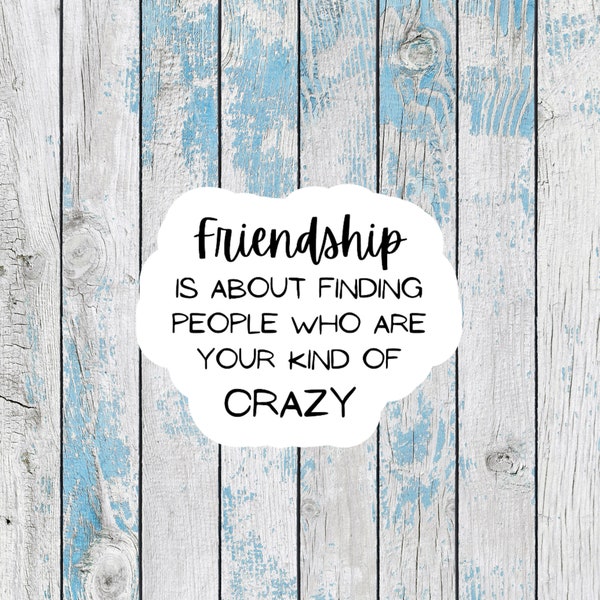 Funny stickers for friends stickers laptop decals friendship stickers for best friend gifts notebook stickers for planners funny decal gifts