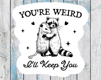 Funny Raccoon Stickers for best friends funny possum stickers best friend stickers funny couple stickers raccoon decals funny possum decals