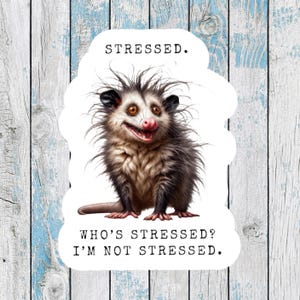 Possum Stickers funny possum stickers possum gifts opossum sticker I love my cat sticker possum decal funny opossum stickers for best friend