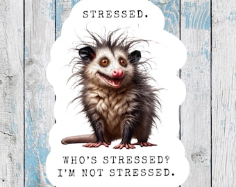Possum Stickers funny possum stickers possum gifts opossum sticker I love my cat sticker possum decal funny opossum stickers for best friend