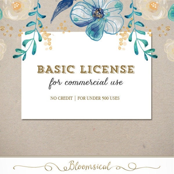 Basic Commercial License for Commercial Use of Patterns, Graphic Design