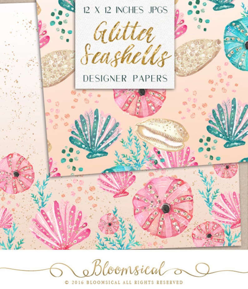 Importance of seashells image