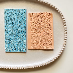 Puede incluir: Dos láminas de silicona texturizadas rectangulares, una azul claro y otra melocotón, sobre un plato de cerámica blanco con borde festoneado.