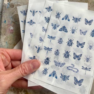 May include: A set of translucent sheets featuring a collection of small, blue ink illustrations of various insects and animals, including bees, butterflies, dragonflies, beetles, spiders, and a snake, arranged in a grid pattern on white paper.