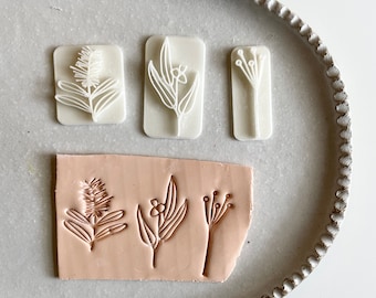 Prägestempel | Polymerclay Australiana Stempel | Prägung | heimische Pflanzen | botanische Seifenstempel | Gummi Nuss | Knopf | AUSTRALIEN