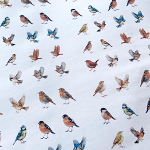 Wateroplosbaar transferpapier voor polymeerklei | afbeeldingsoverdracht vogels | pak van 4 A6-vellen |  Transfers van nepkeramische bedels