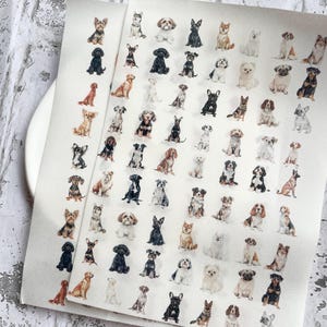 Op de afbeelding: Twee vellen stickers met verschillende hondenrassen in verschillende poses. De stickers zijn gedrukt op een witte achtergrond en bevatten rassen zoals Shih Tzus, Teckels en Pugs. De honden zijn afgebeeld in verschillende kleuren, waaronder zwart, bruin en wit.
