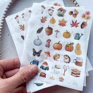 Può includere: Fogli di adesivi a tema autunnale con illustrazioni ad acquerello di zucche, funghi, ghiande, foglie e tazze. Gli adesivi sono di varie forme e dimensioni, con una calda tavolozza di colori arancione, marrone e giallo.