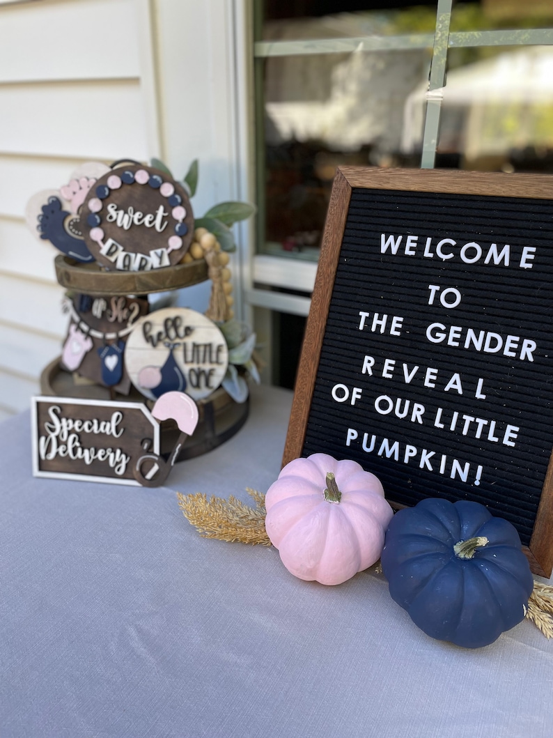 Gender Reveal Tiered Tray Baby Shower DIY Kit Tray Decor Wood Craft Kit