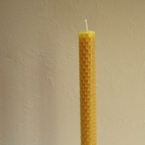 Beeswax Candle 8&quot; Taper Pair Hand Rolled with Cotton Wick Natural Air Purifier 1 inch 3/4 inch Diameter 100% Natural Pure