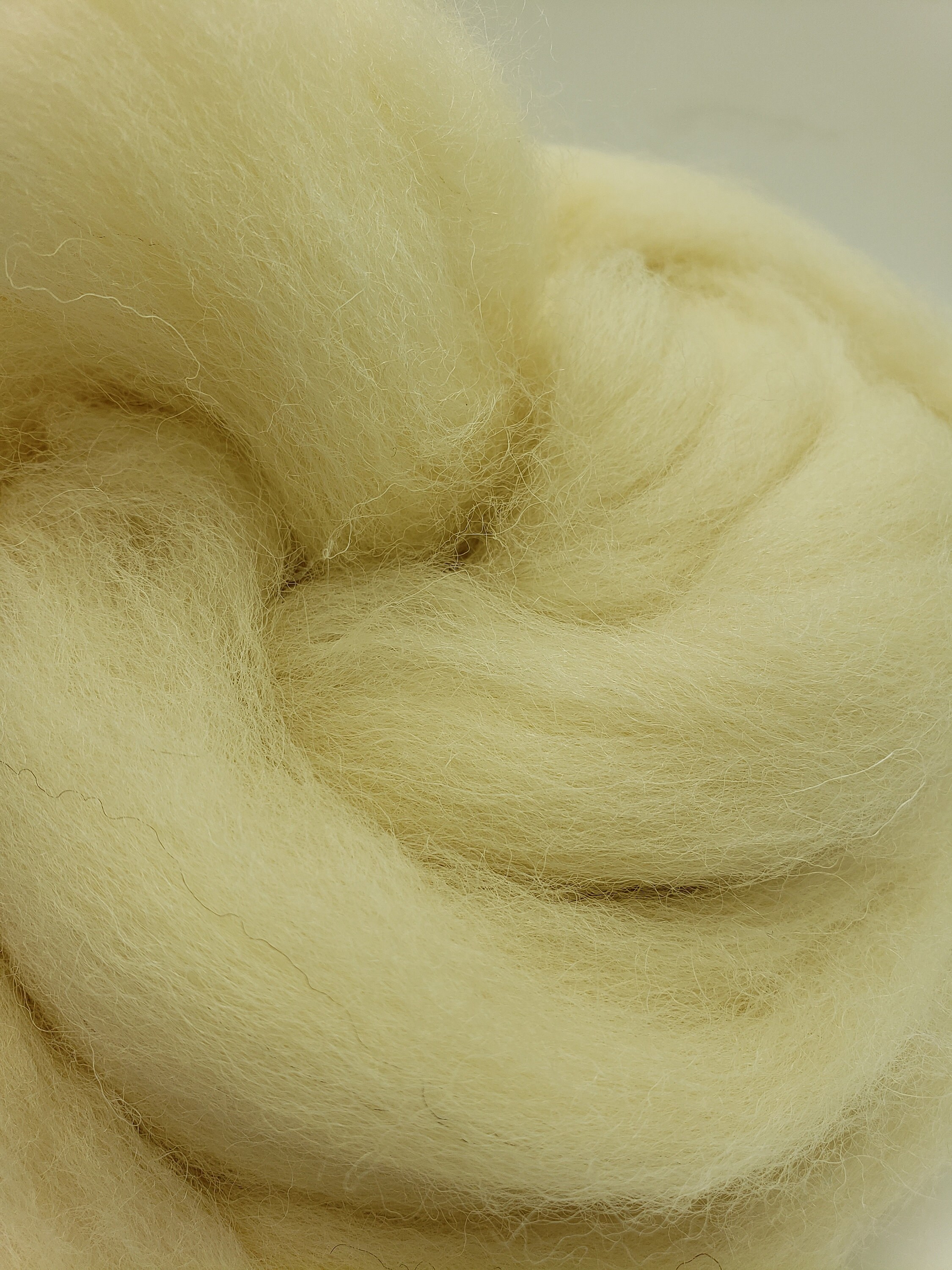 Jacob Fiber 1 Lb White Jacob Combed Top, Roving, Spinning Fiber, Felting Fiber ...