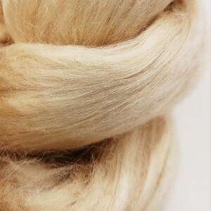 Peut inclure: Gros plan sur un paquet de fibres d'alpaga brun clair et moelleuses.