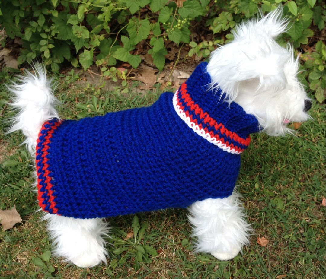 Sporty Dog Custom Dog Sweater Team Dog Sweater Dog Etsy