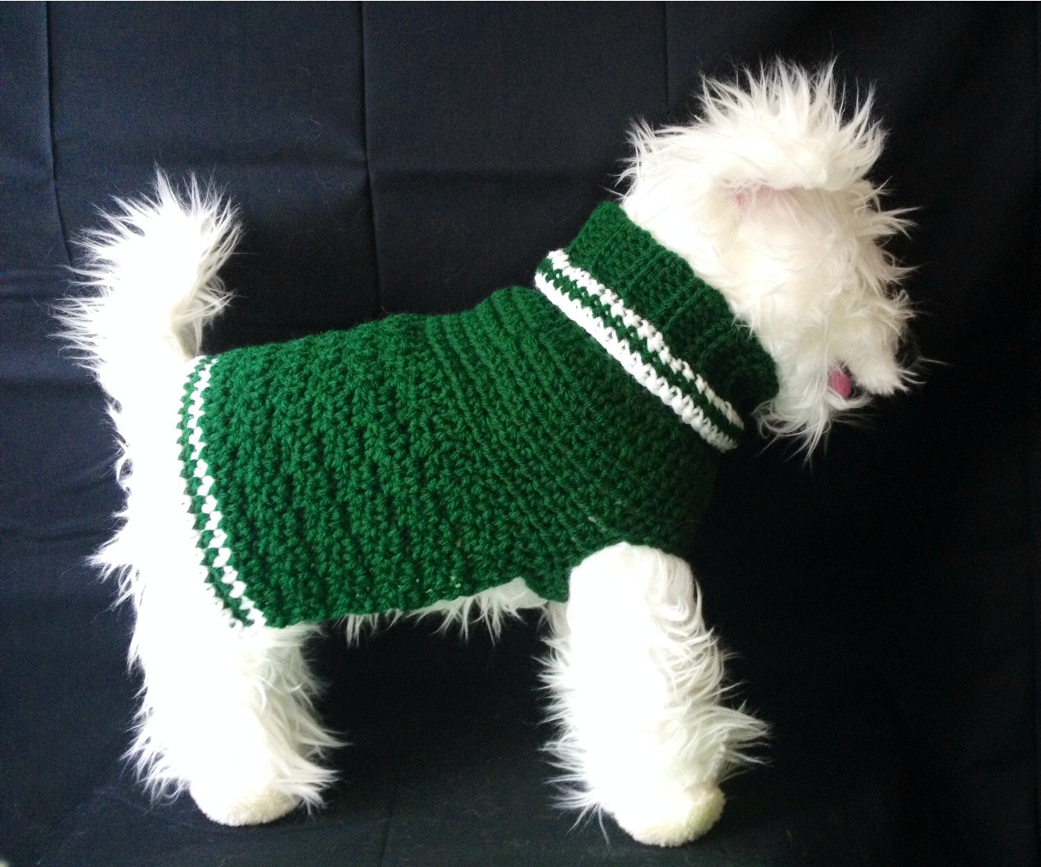 Jets Dog Sweater Dog Sweater Team Dog Sweater Turtleneck Dog Sweater Jets Dog Sweaters Medium Dog Sweater Dog Jumper Green Dog Sweater