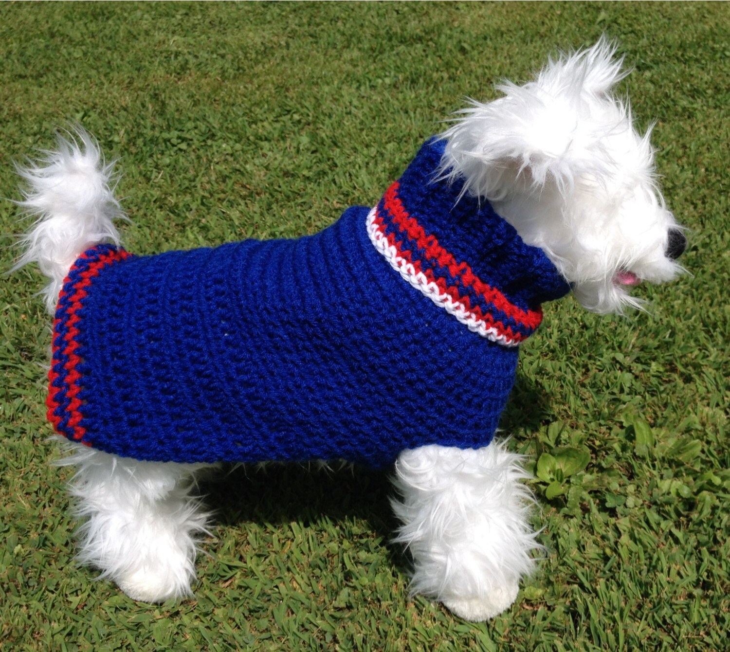 Buy Sporty Dog Custom Dog Sweater Team Dog Sweater Dog Online in