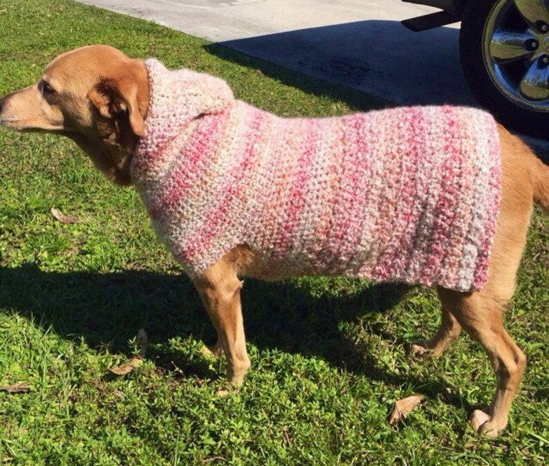 pink dog sweater medium