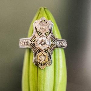 May include: A silver engagement ring with a geometric design and multiple small diamonds. The ring is set on a green flower bud.