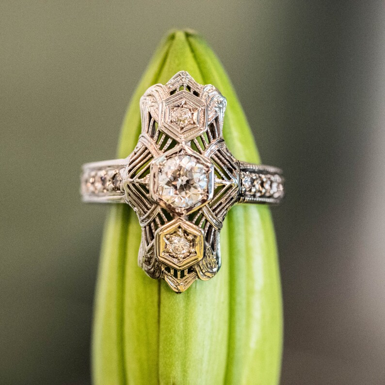 May include: A silver engagement ring with a geometric design and multiple small diamonds. The ring is set on a green flower bud.