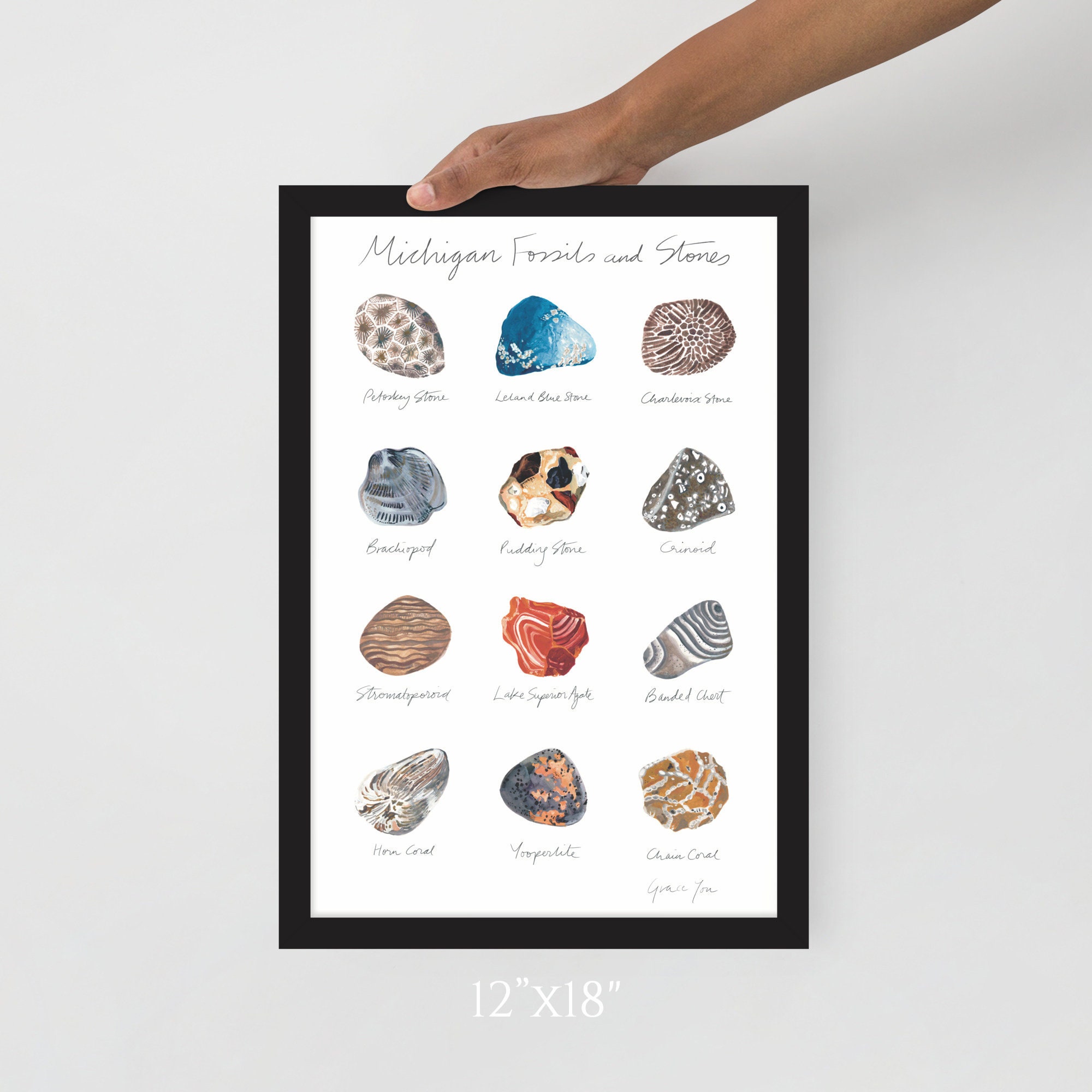 ART PRINT Michigan Fossils & Stones Featuring Original Etsy