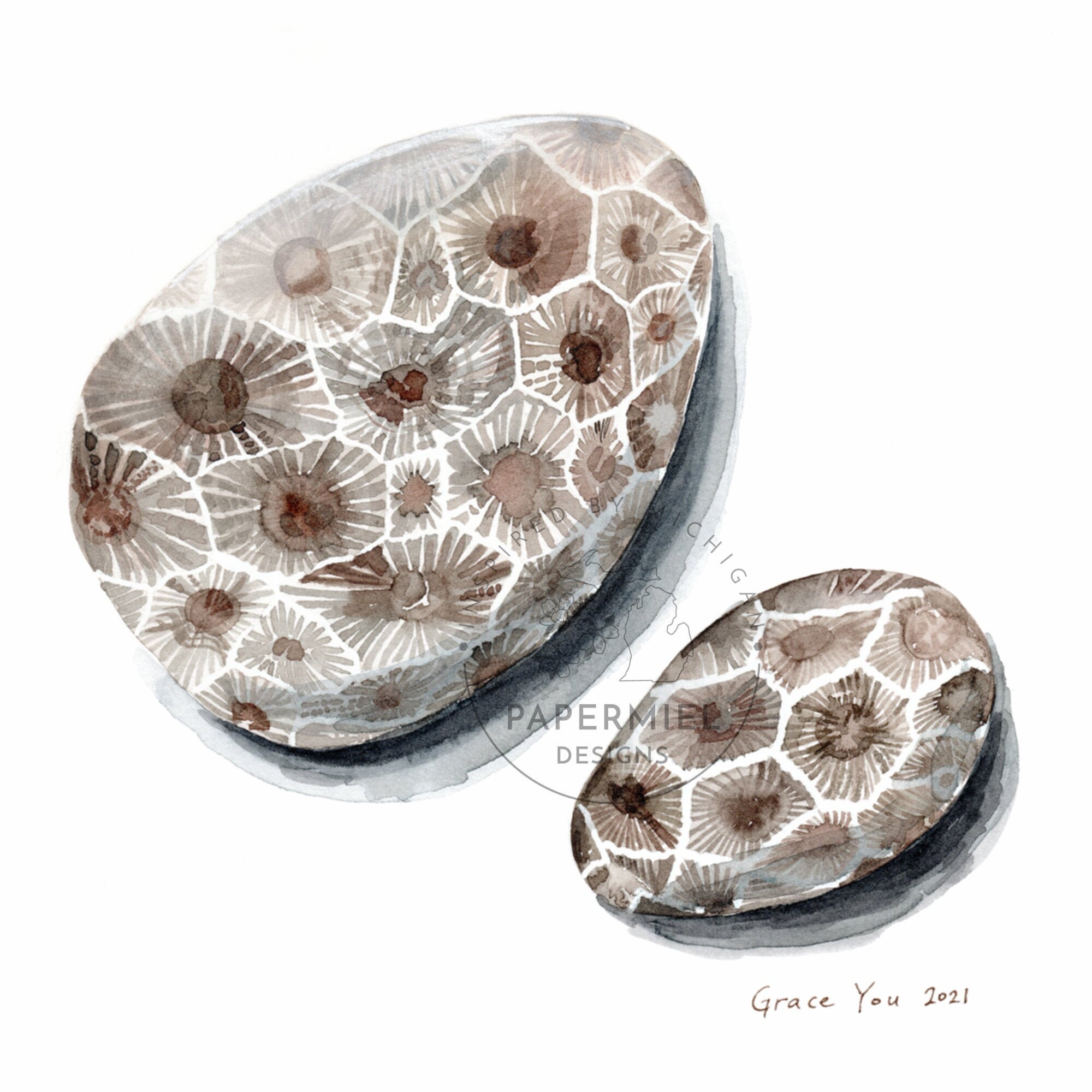 Darlene's Beloved Petoskey Stones // Art Print | Etsy