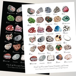 ART PRINT || A to Z of Michigan Fossils, Minerals and Stones