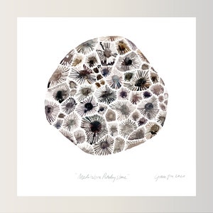 ART PRINT || Meditative Petoskey Stone || Watercolor painting. Michigan Home Decor. Housewarming gift.