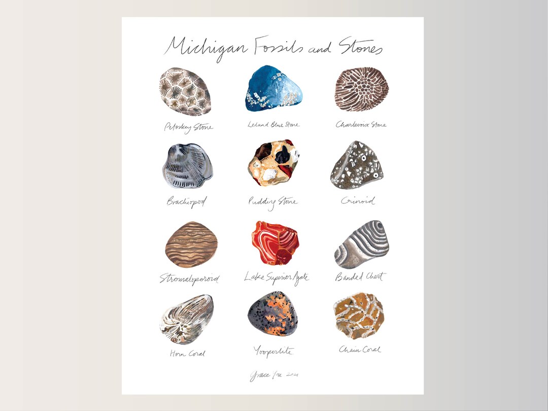 ART PRINT Michigan Fossils & Stones Featuring Original Paintings of 12