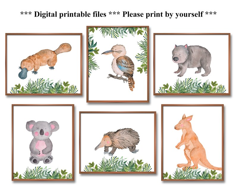 australian animal prints nursery