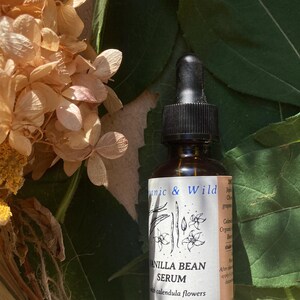 Może przedstawiać: Brązowa szklana butelka serum waniliowego z czarną pipetą, na tle zielonych liści i suszonych kwiat&oacute;w. Etykieta głosi "Organic & Wild" i "Vanilla Bean Serum with calendula flowers."