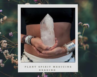 Medicina espiritual vegetal y aliado mineral: apoyo chamánico para su viaje de sanación