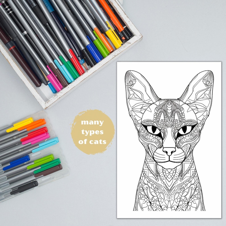 Cat Lady Coloring Book — Printable Pages for Crazy Cat Lovers - Etsy