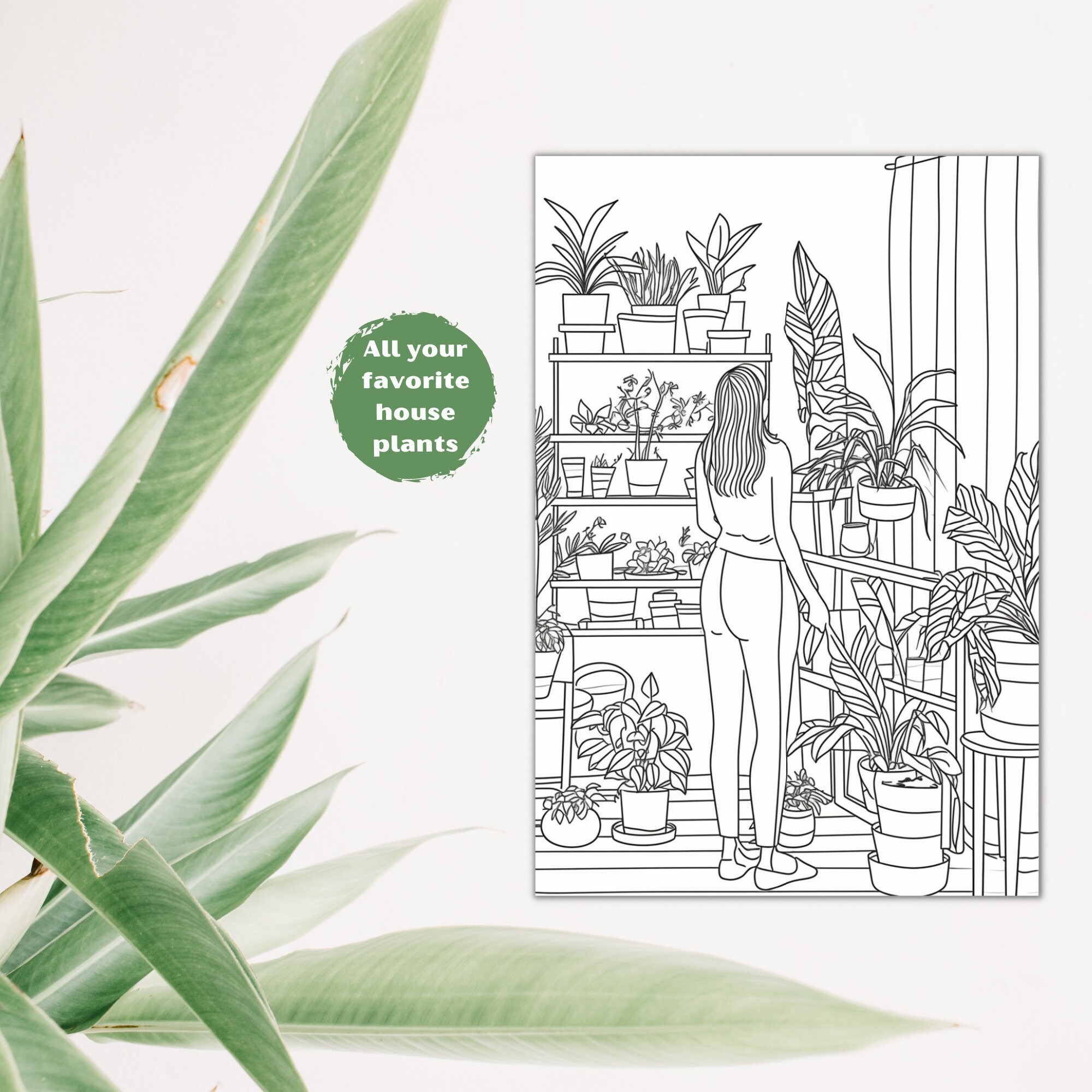 Plant Mom Coloring Book, House Plants PDF, Plant Coloring Pages, Plant ...