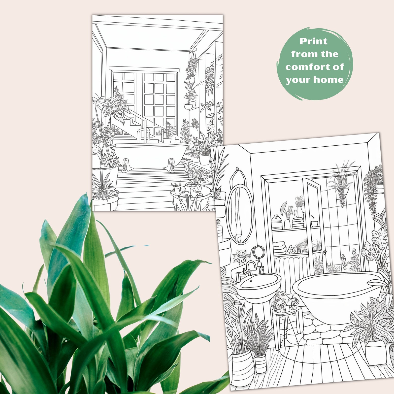 Plant Mom Coloring Book, House Plants PDF, Plant Coloring Pages, Plant ...