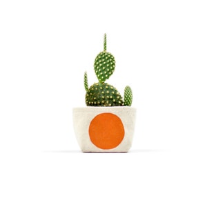 Mini pot succulent à pois orange, seau en tissu Blockprint image 1